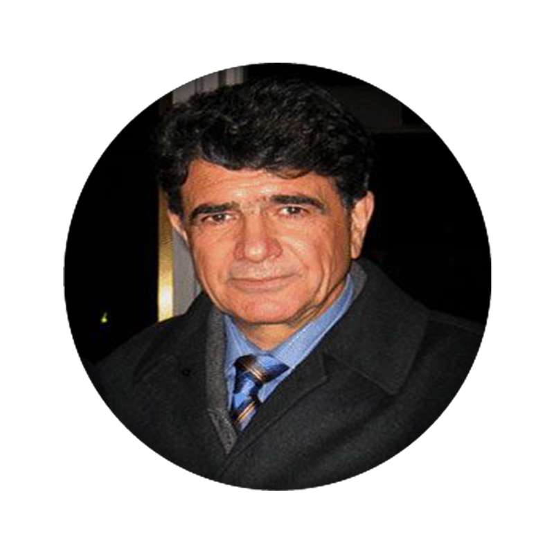استیکر تزئینی موبایل مدل شجریان کد 4204