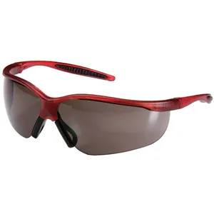 Parkson ABZ SS2564S Safety Glasses