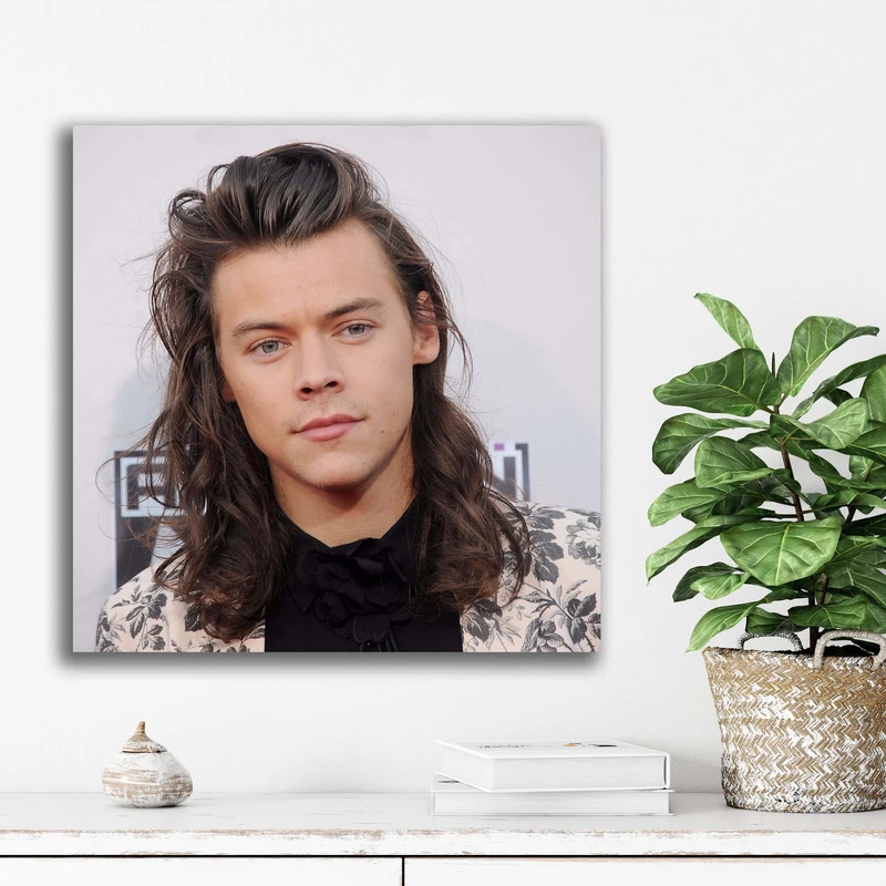 تابلو شاسی آتریسا مدل هری استایلز Harry Styles
