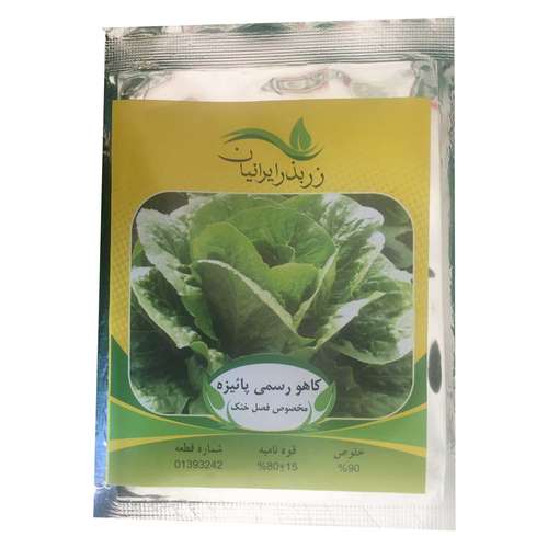 بذر کاهو رسمی پائیزه زر بذر ایرانیان مدل P31