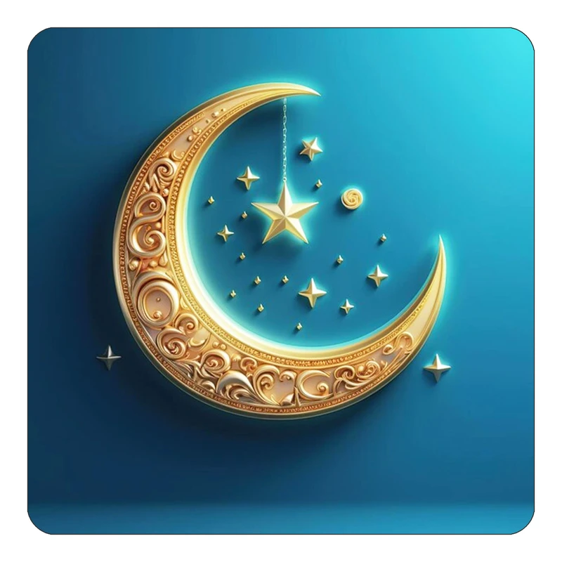 مگنت کاکتی طرح ماه و ستاره مدل mp53022