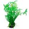 گیاه تزیینی آکواریوم مدل شبدر