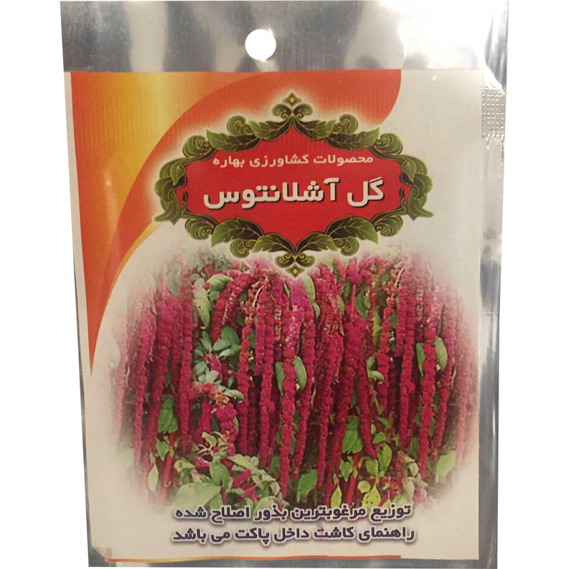 بذر گل آشلانتوس به کشت