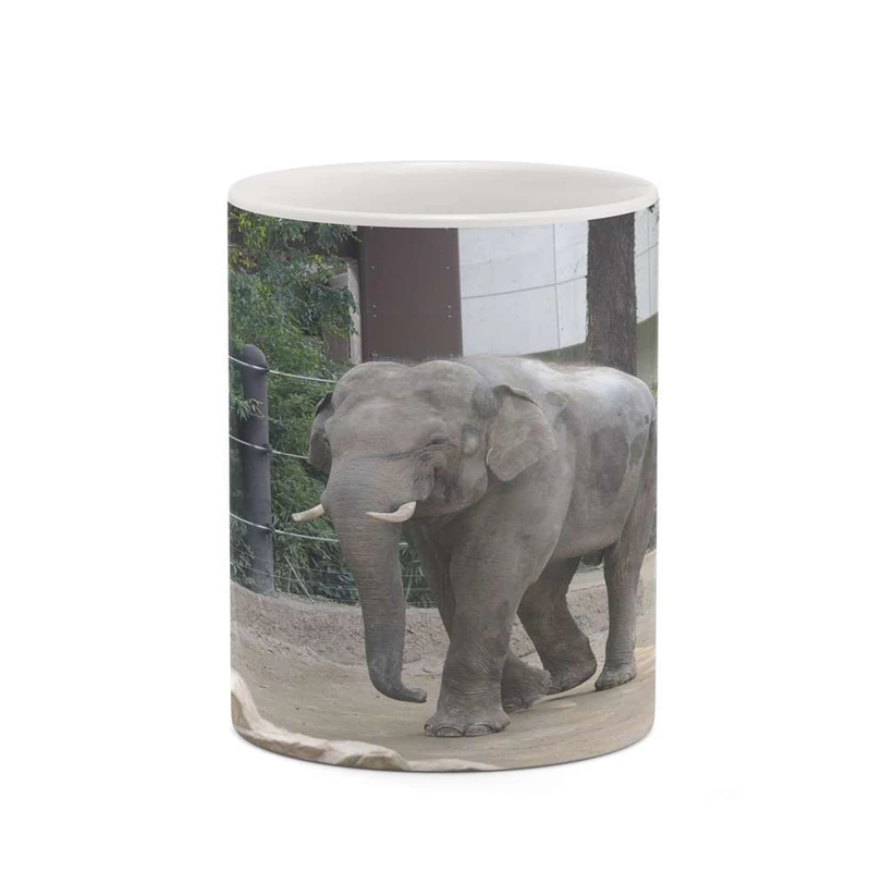 ماگ کاکتی مدل فیل کد mgh19224