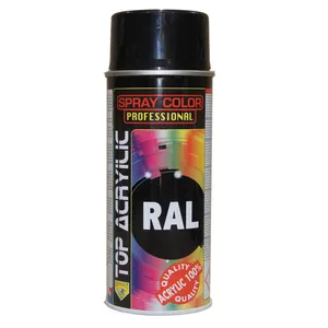 Eco Service TOP RAL 9005 GLOSSY BLACK Paint Spray 400 ml