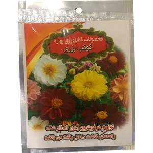 بذر کوکب بزری به کشت