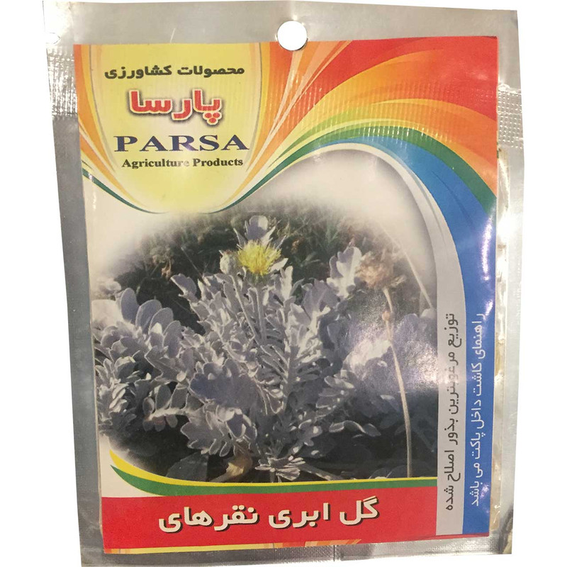 بذر گل ابری نقره ای به کشت