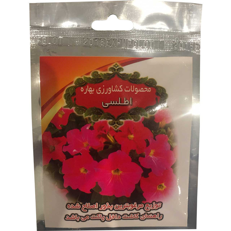 بذر گل اطلسی به کشت