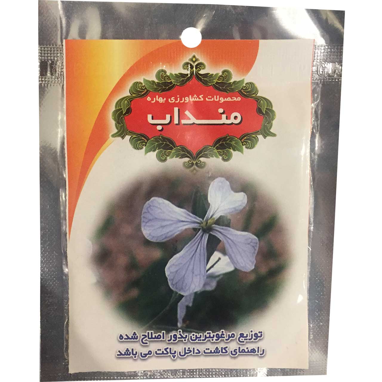 بذر گل منداب به کشت