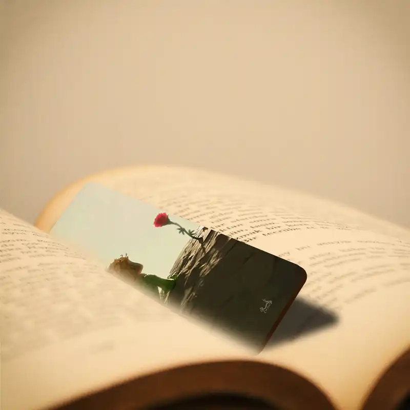 نشانگر کتاب لوکسینو مدل شازده کوچولو کد Bookland_75