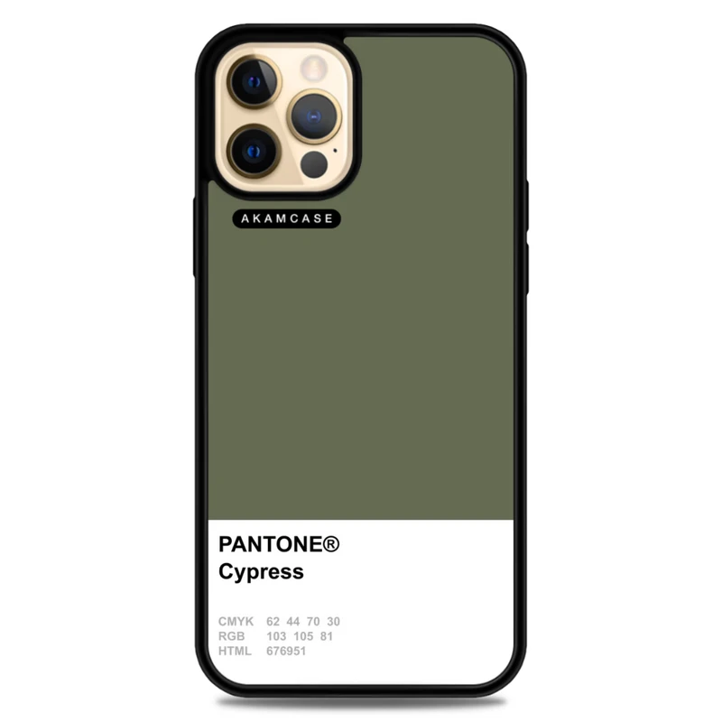 کاور آکام مدل AMC-WA12PRO-PANTONE-5 مناسب برای گوشی موبایل اپل iPhone 12 Pro
