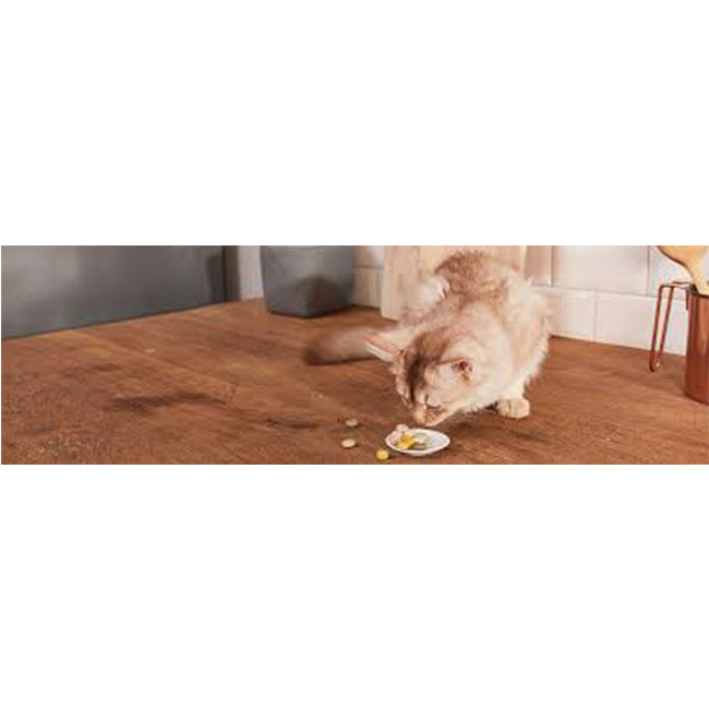 قرص مکمل بچه گربه جیم کت مدل طعم شیر وزن 40 گرم