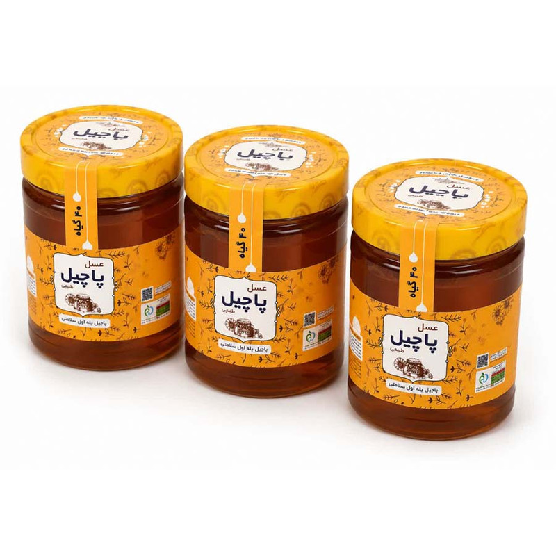 عسل چندگیاه پاچیل - 3000 گرم بسته 3 عددی