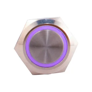 کلید شستی مدل CSMP-SM-22-P