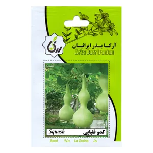 بذر کدو قلیانی آرکا بذر ایرانیان مدل B107