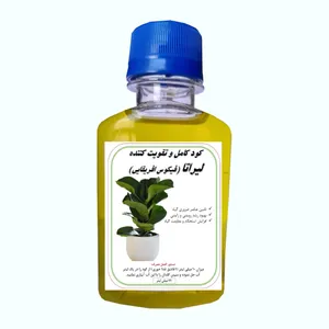 کود کامل لیراتا فیکوس افریقایی مدل A27 حجم 120 میلی لیتر 