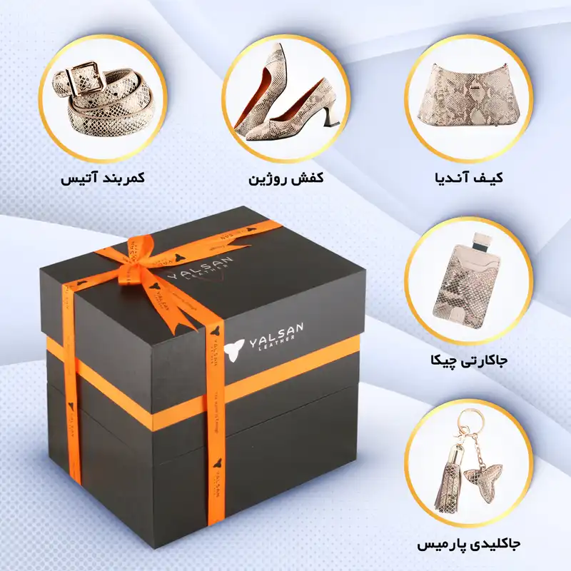 ست کیف و کفش زنانه چرم یلسان مدل لاکچری آنریا کد RTL-300-krm به همراه کمربند و جاکارتی و جاکلیدی