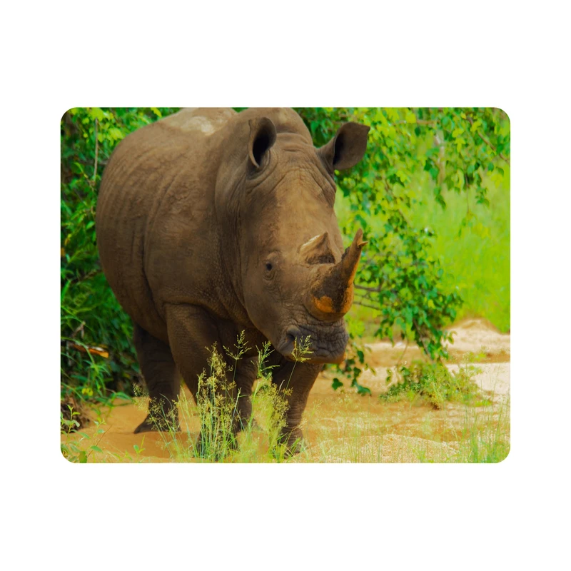 ماوس پد اطلس آبی طرح جنگل و کرگدن مدل T1959