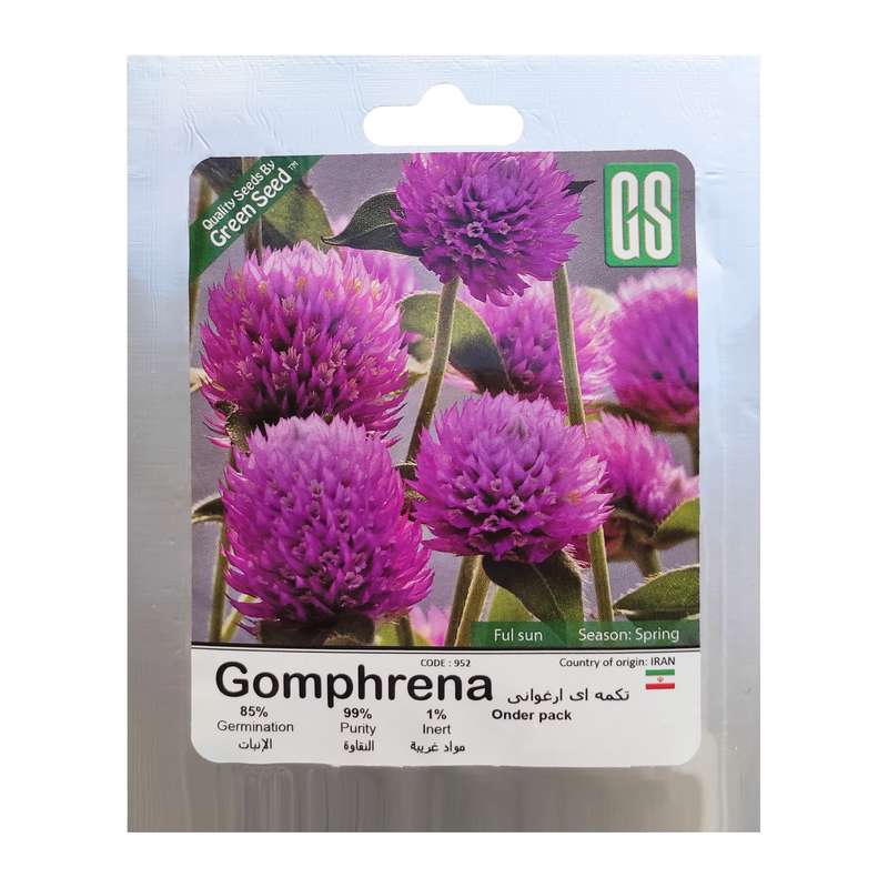 بذر گل تکمه ای ارغوانی گرین سید مدل BZG224