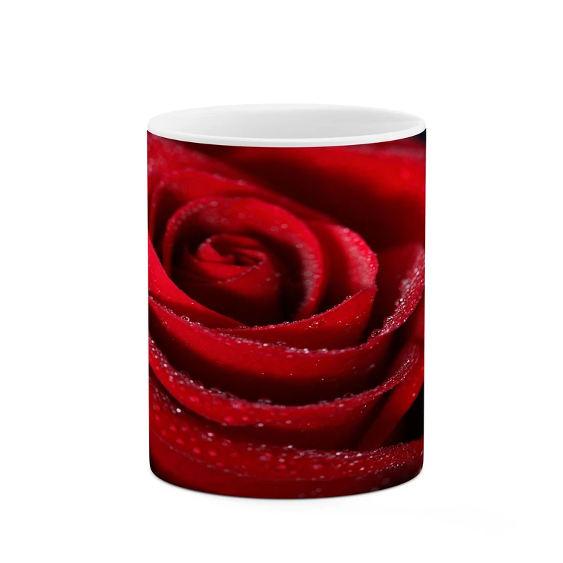 ماگ کاکتی مدل گل رز کد mgh18048