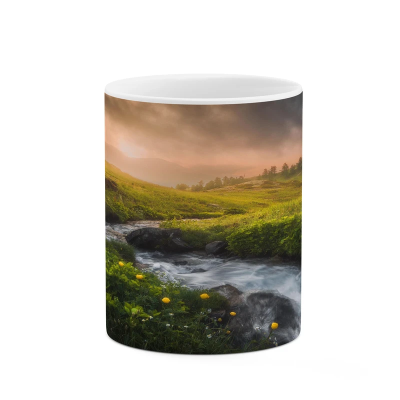 ماگ کاکتی مدل منظره کد mgh17150