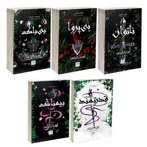 کتاب ناتوان، قدرتمند، بی پروا، بی باک و بیمناک اثر لورن رابرتس نشر آذرگون 5 جلدی