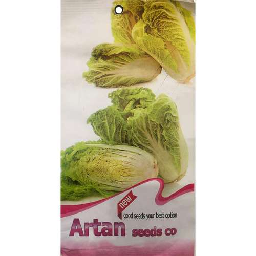 بذر کاهو پیچ آرتان