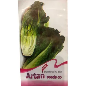 بذر کاهو آرتان