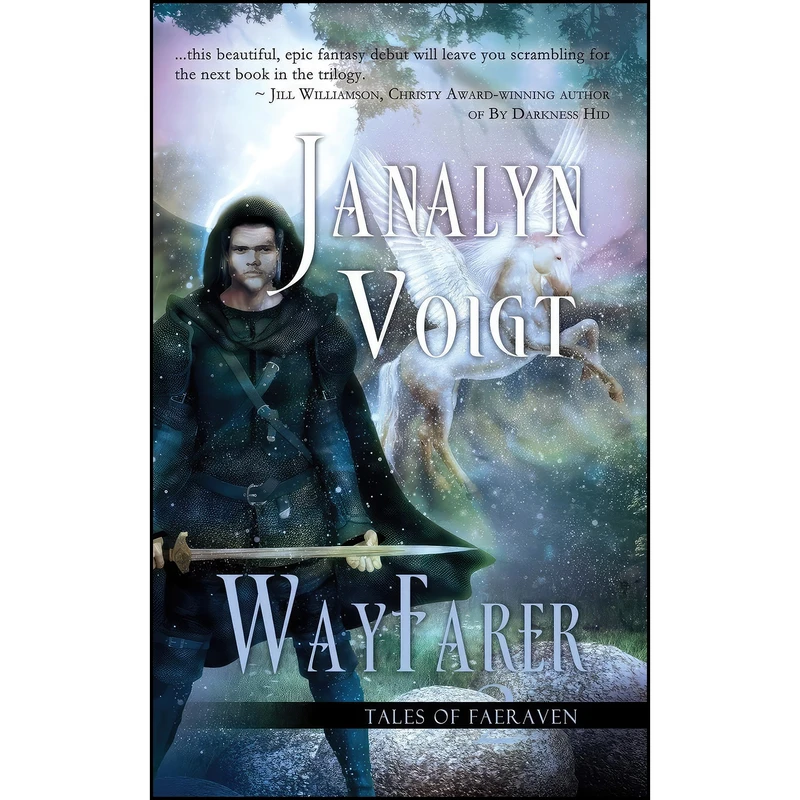 کتاب Wayfarer  اثر Janalyn Voigt انتشارات تازه ها