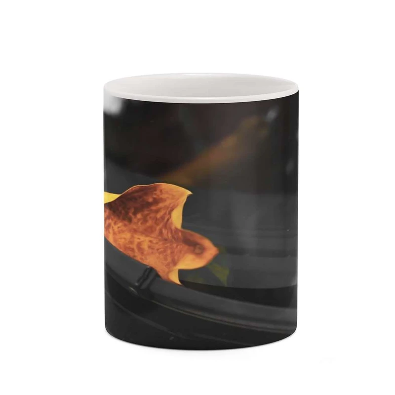 ماگ کاکتی مدل پاییز کد mgh19329