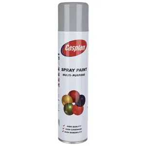 Caspian Silver Paint Spray 295gr