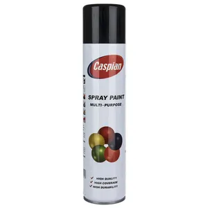 Caspian Matte Black Paint Spray 295gr