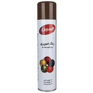 Caspian Dark Brown Paint Spray 295gr