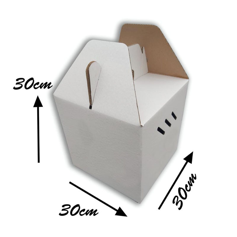 سبد گل رز مدل RRM6 سبد گل رز مدل RRM6