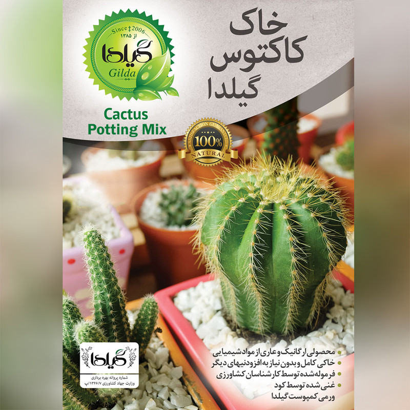 خاک کاکتوس و ساکولنت گیلدا مدل GC12L حجم 12 لیتر
