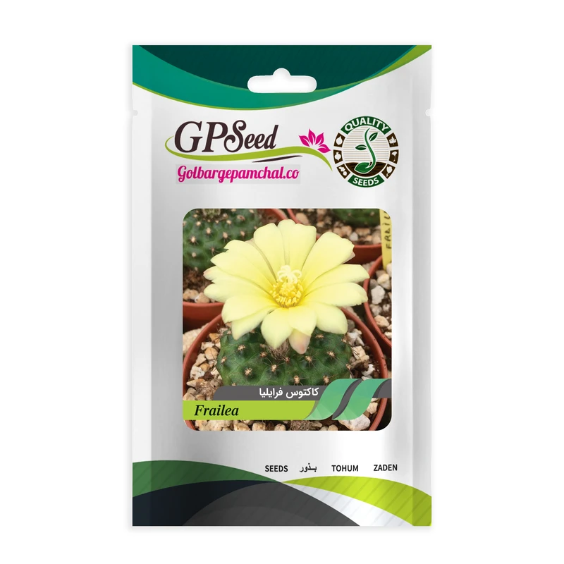 بذر کاکتوس فرایلیا گلبرگ پامچال کد GPF-188 
