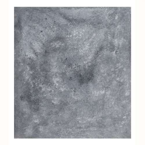 پس زمینه عکاسی مدل 101