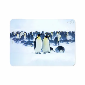 MAHOOT Penguin Cover Sticker for Apple iPad Pro 11 2018 A1934