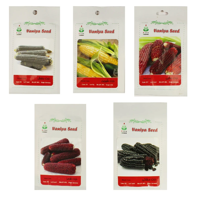 مجموعه 5 عددی بذر ذرت آذر سبزینه مدل AZZ01