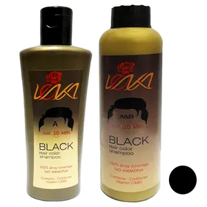 شامپو رنگ مو لنکا مدل A&B حجم 120 میلی لیتر رنگ مشکی بسته 2 عددی