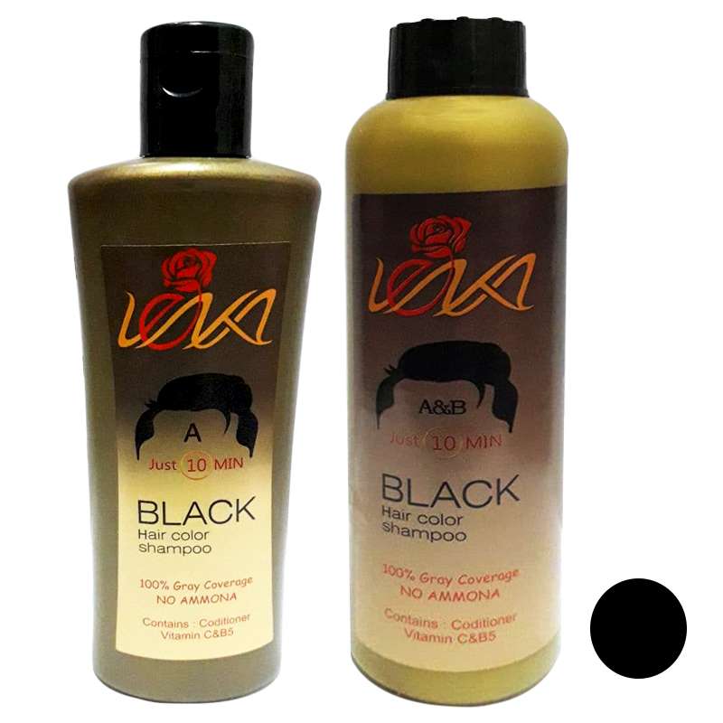 شامپو رنگ مو لنکا مدل A&B حجم 120 میلی لیتر رنگ مشکی بسته 2 عددی شامپو رنگ مو لنکا مدل A&B حجم 120 میلی لیتر رنگ مشکی بسته 2 عددی
