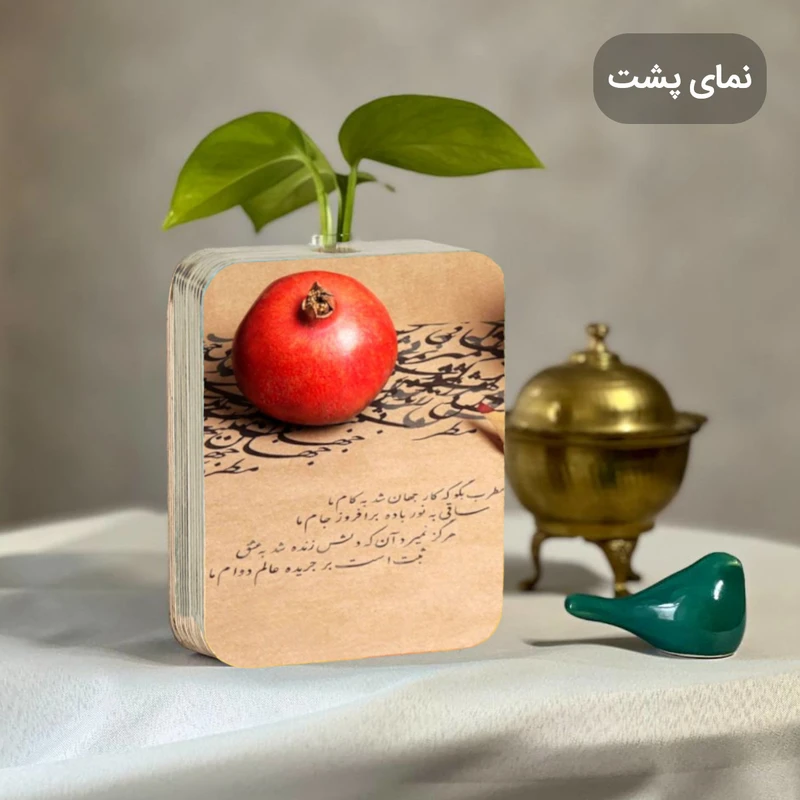 عکس شماره 2