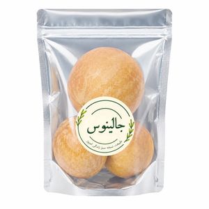 هندوانه ابوجهل خشک جالینوس - 100 گرم