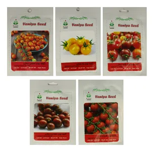 بذور گوجه گیلاسی آذر سبزینهمدل AZ10 بسته 5 عددی 