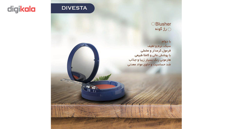 رژگونه دیوستا مدل Compact Blusher شماره 13