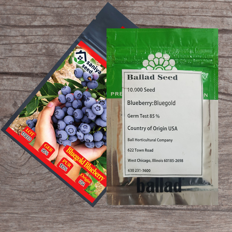 بذر بلوبری بلوگلد سانیا سید مدل B2