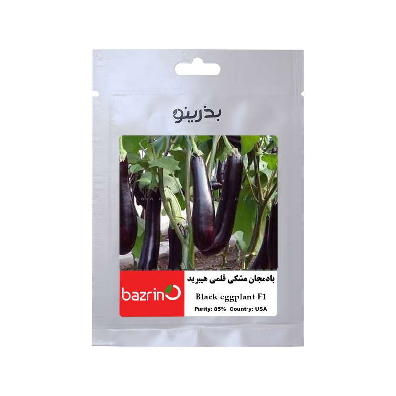 بذر بادمجان مشکی قلمی F1 بذرینو کد BZNO-195 