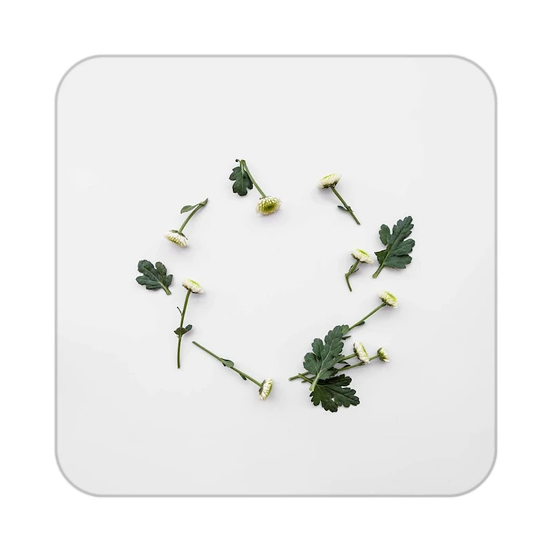 زیر لیوانی کاکتی طرح گل مدل mp18686