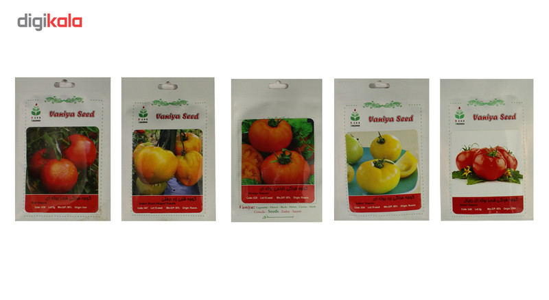 پک بذور گوجه فرنگی آذر سبزینه AZ14 بسته 5 عددی