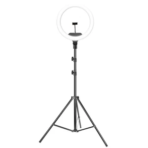 رینگ لایت مدل AL-33